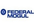 FEDERAL MOGUL'