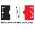 FNS'