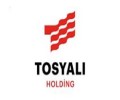 TOSYALI HOLDİNG'